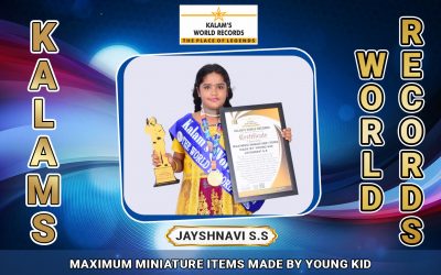 Maximum Miniature Items Made by Young Kid