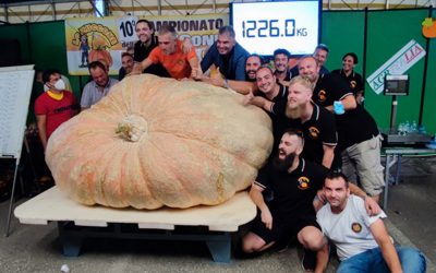 The heaviest pumpkin