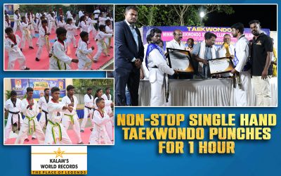 Non-stop Single Hand Taekwondo Punches for 1 Hour
