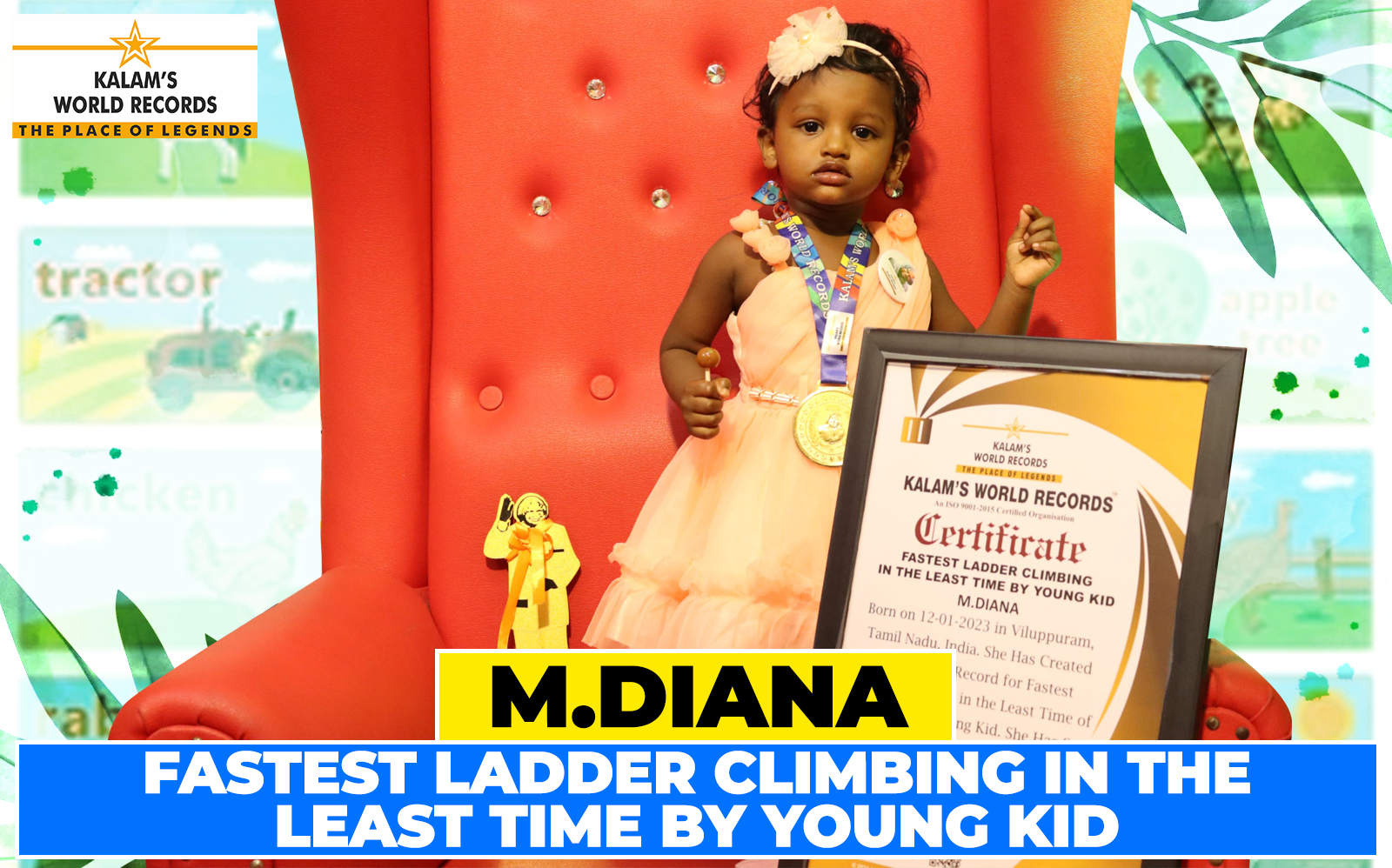 Fastest Ladder Climbing in the Least Time by Young Kid - Kalams World ...