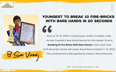 Youngest to Break 10 Fire-bricks With Bare Hands in 20 Seconds